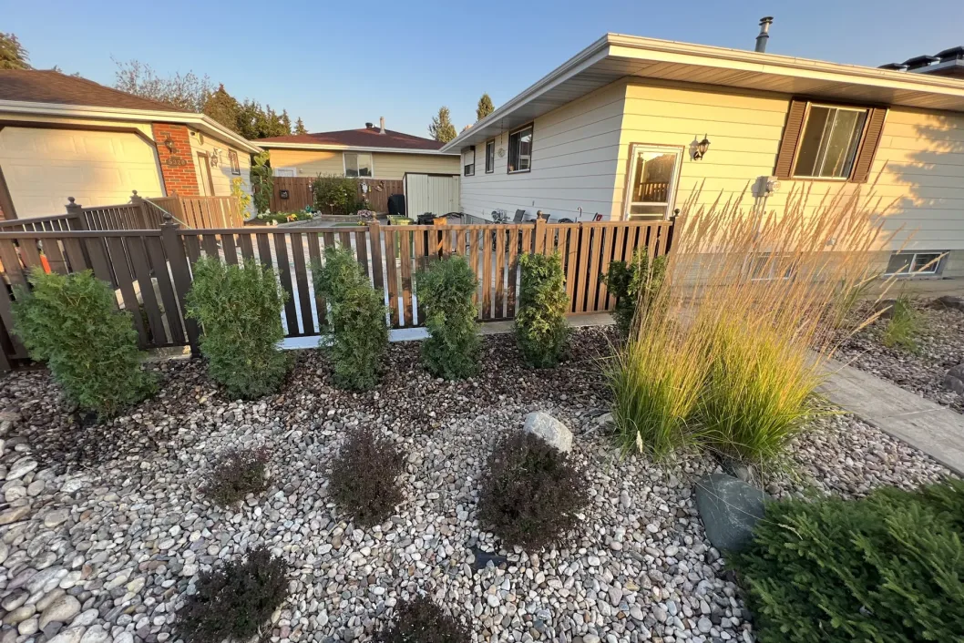 River rock xeriscape garden with juniper shrubs and ornamental grass, Calgary softscape design by All The Moore